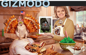 Picture of Gizmodo's article lead-in photo.